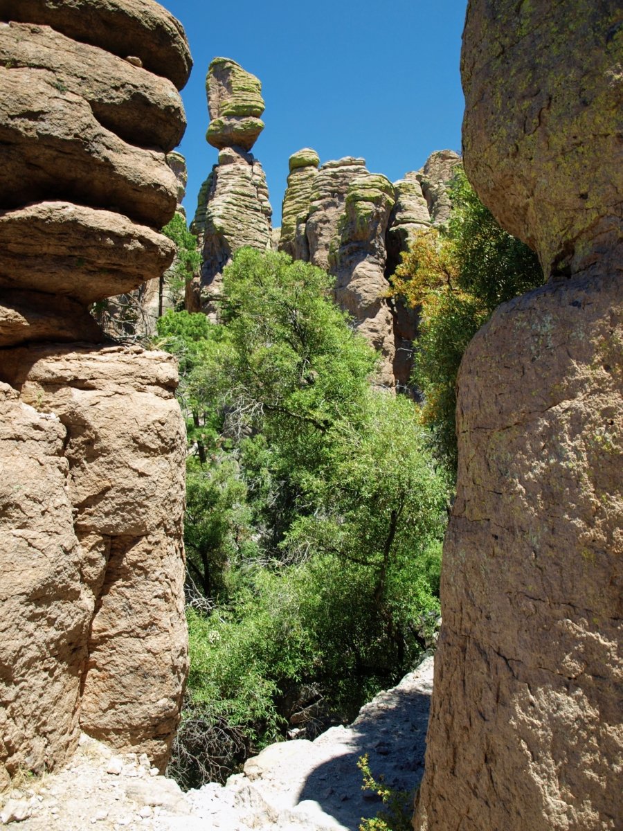 Explore the Geological and Cultural Diversity of Southeast Arizona 18
