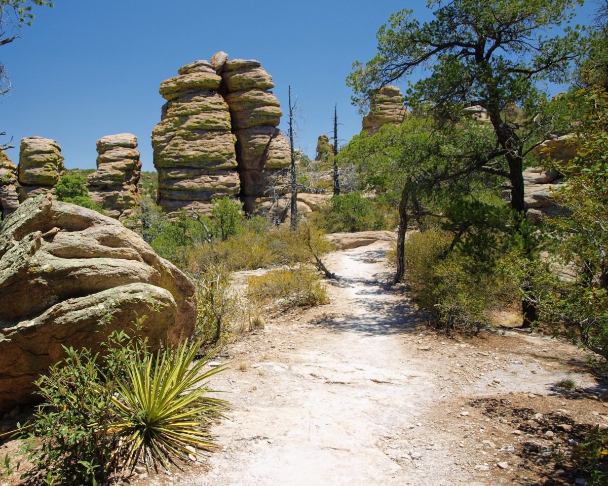 Explore the Geological and Cultural Diversity of Southeast Arizona 25