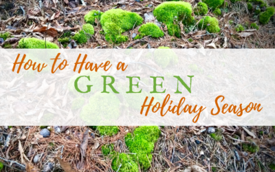 How to Have a Green Holiday Season this Year