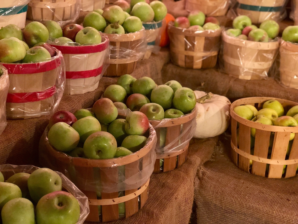 bushels of fresh-picked apples