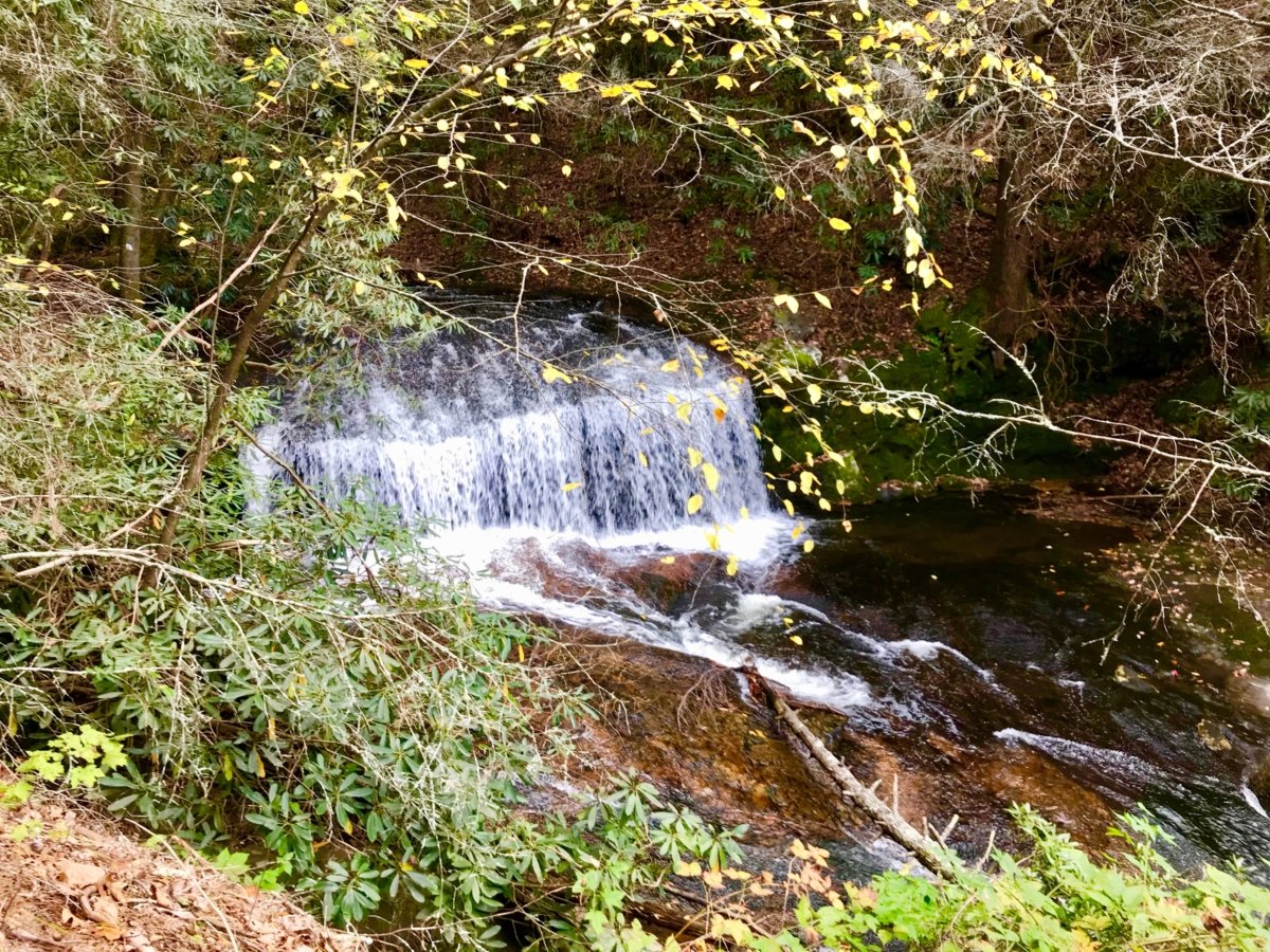 Falls on Mill Creek