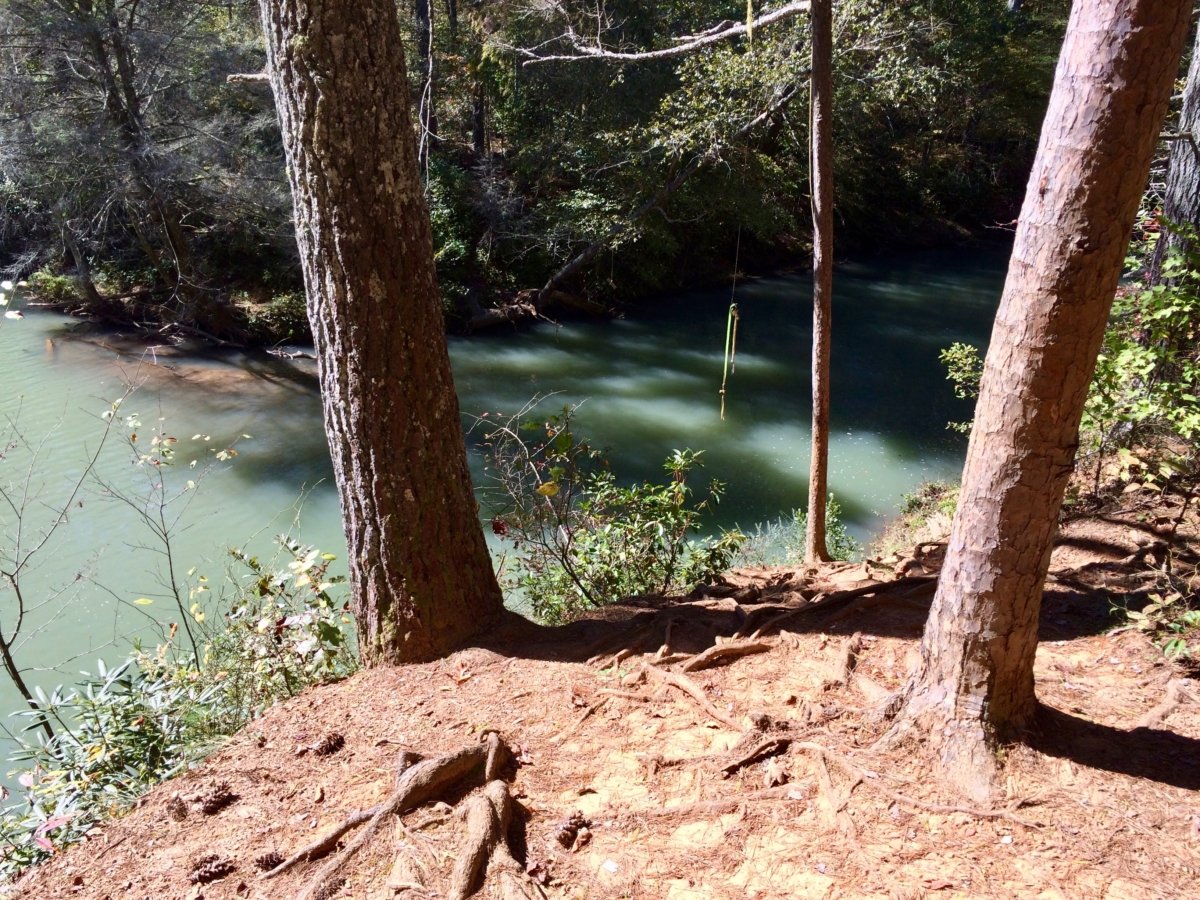 Rope Swing at Devil's Elbow