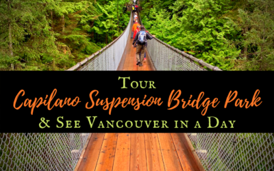 Tour Capilano Suspension Bridge Park and See Vancouver in a Day