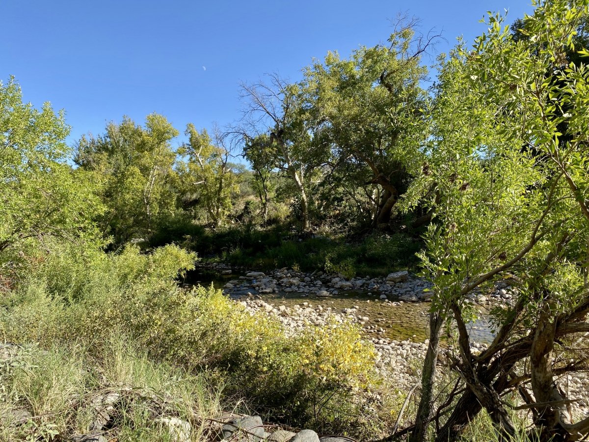 Beaver Creek at Montezuma Castle - Things to Do on a Drive from Phoenix to Flagstaff, Arizona