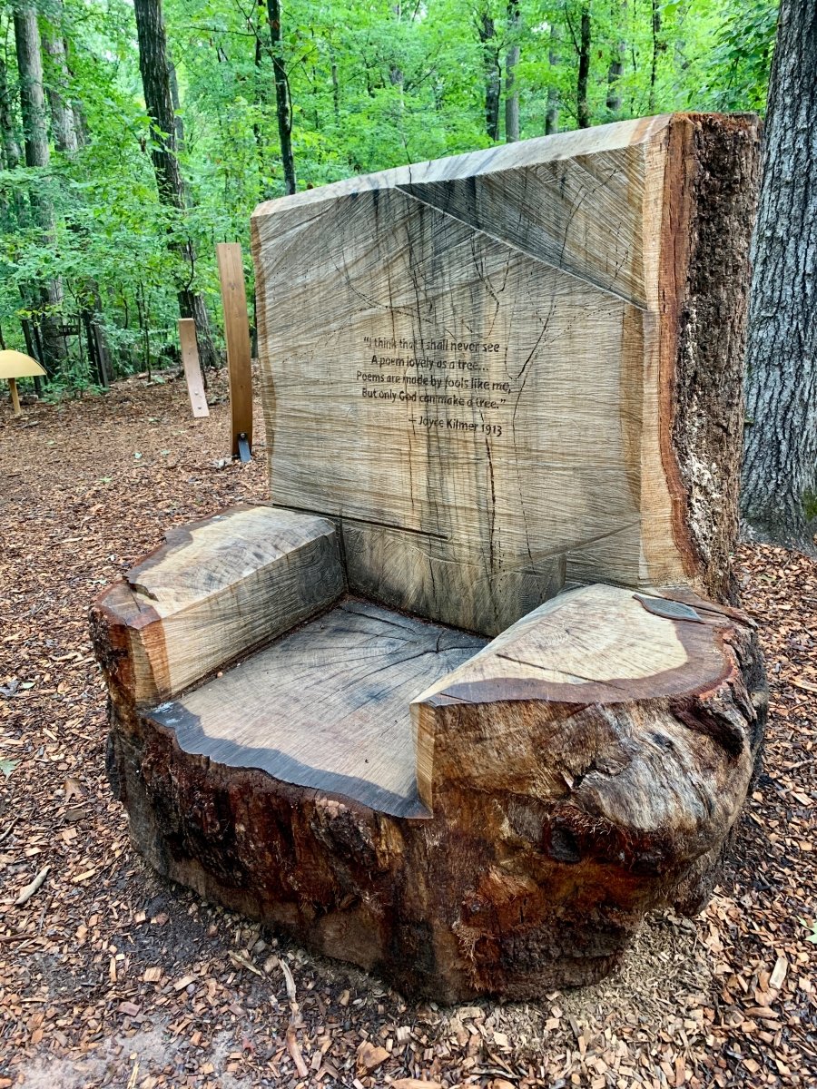Tree Chair