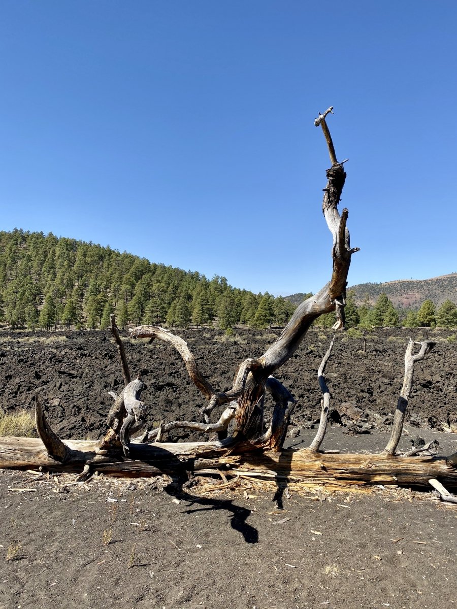 3 Magnificent Flagstaff National Monuments 12