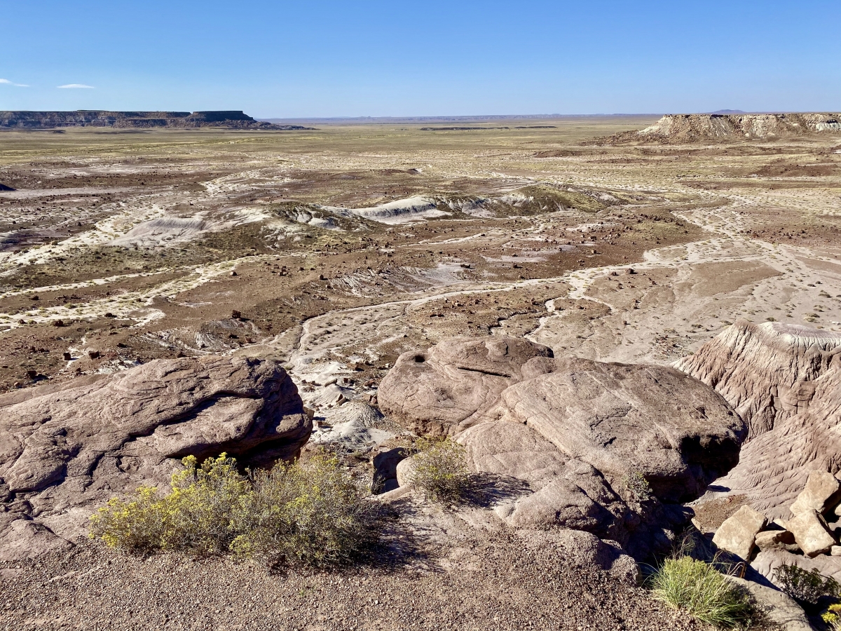 Drive the Painted Desert & Petrified Forest National Park 18