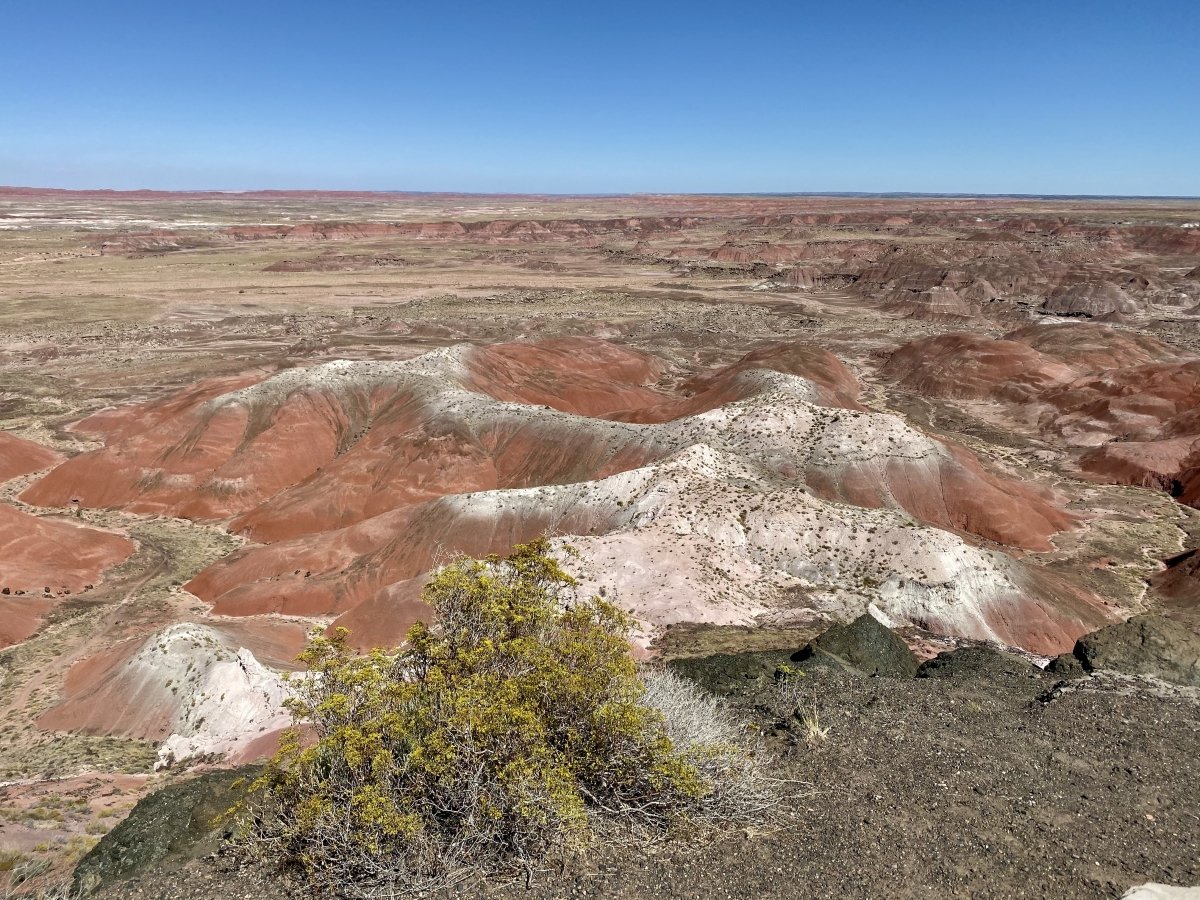 Drive the Painted Desert & Petrified Forest National Park 7