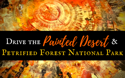 Drive the Painted Desert & Petrified Forest National Park