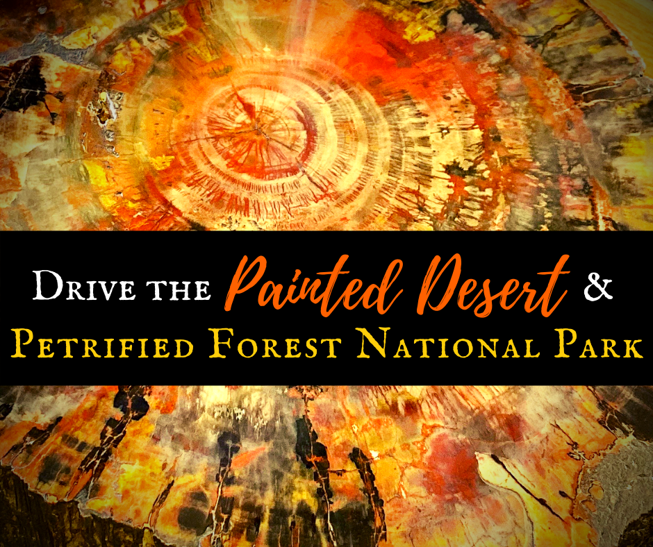 Painted Desert Petrified Forest National Park featured