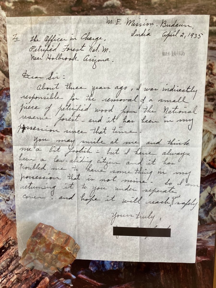 Petrified Forest Guilt Letter Adult