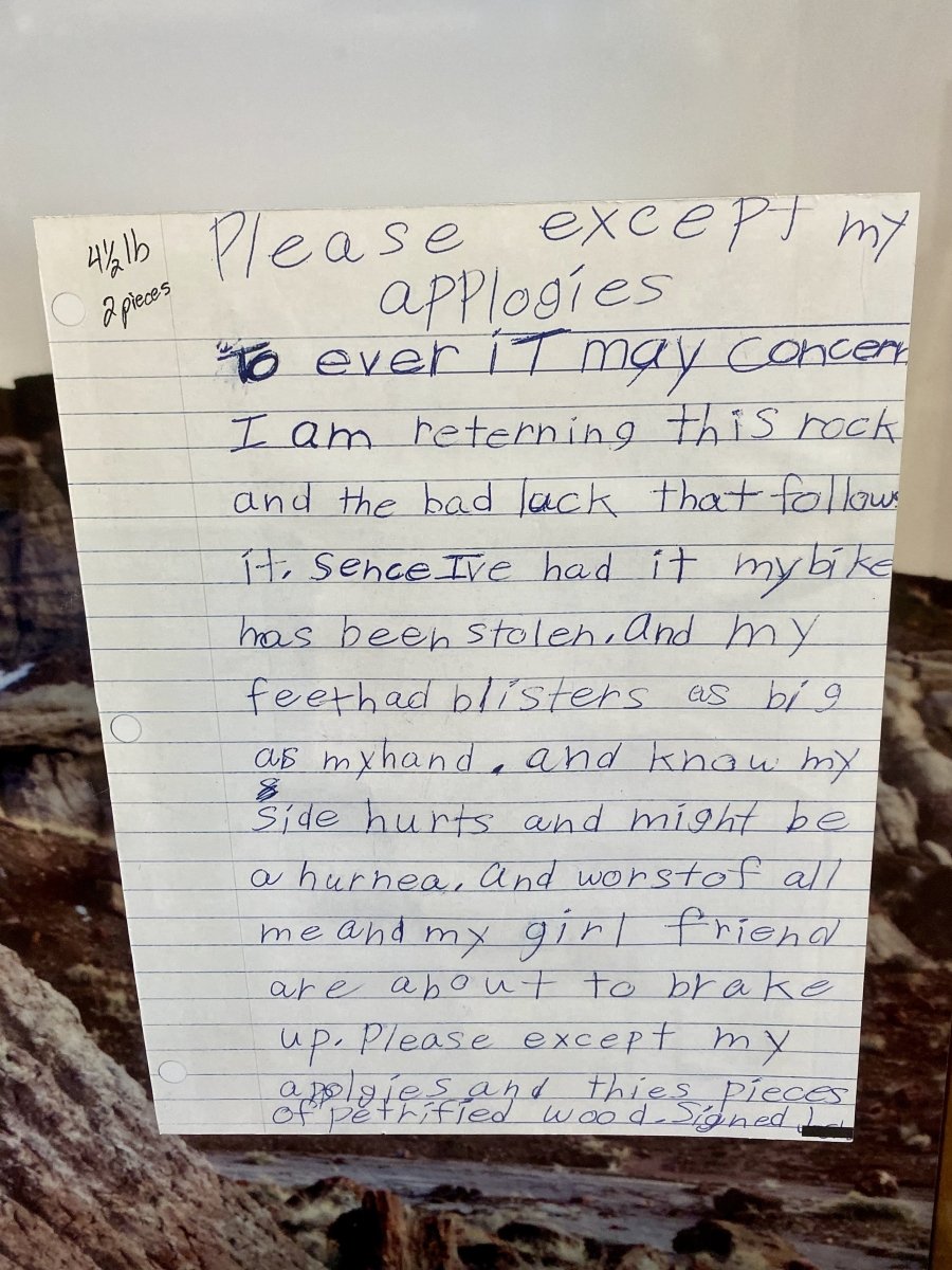 Petrified Forest Guilt Letter Child