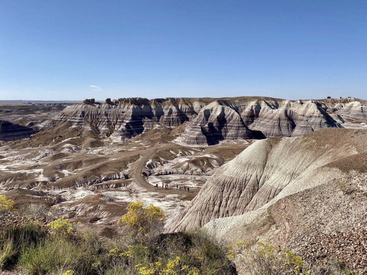 Drive the Painted Desert & Petrified Forest National Park 16