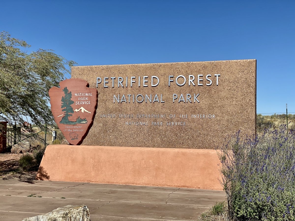 Drive the Painted Desert & Petrified Forest National Park 2