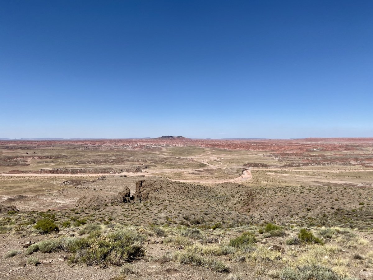 Drive the Painted Desert & Petrified Forest National Park 8