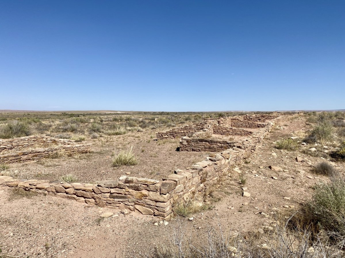 Drive the Painted Desert & Petrified Forest National Park 10