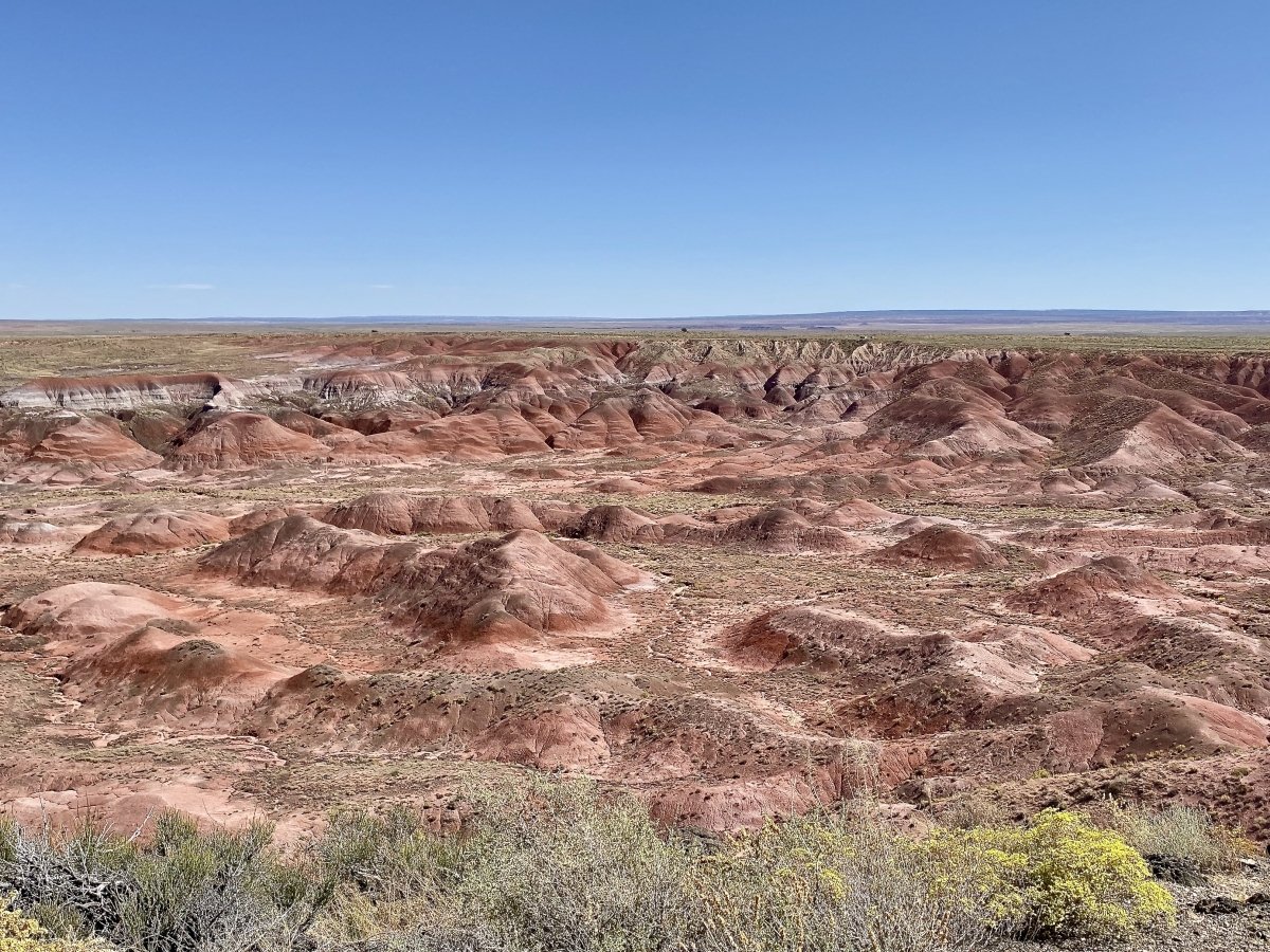 Drive the Painted Desert & Petrified Forest National Park 4