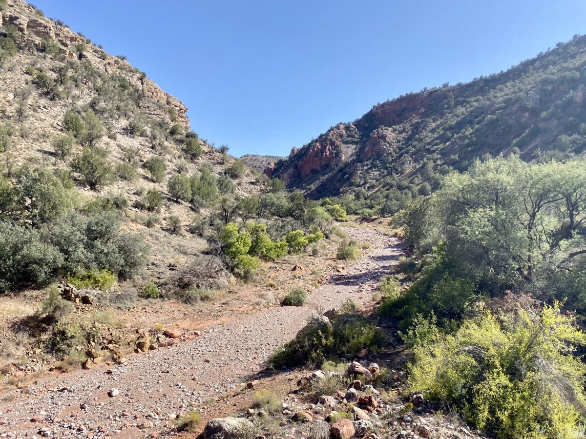 Arizona Desert dry stream bed