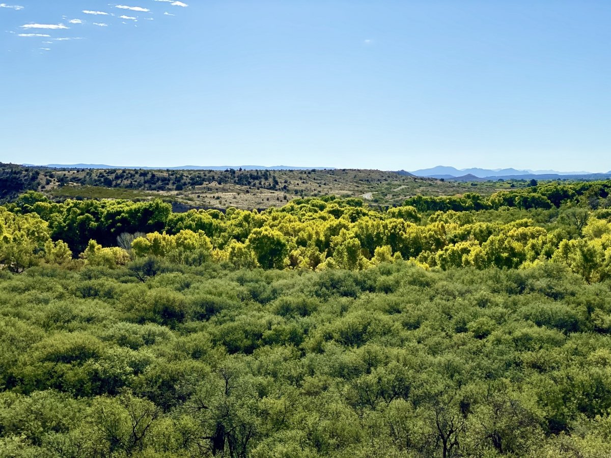 7+ Amazing Attractions in Verde Valley AZ 17