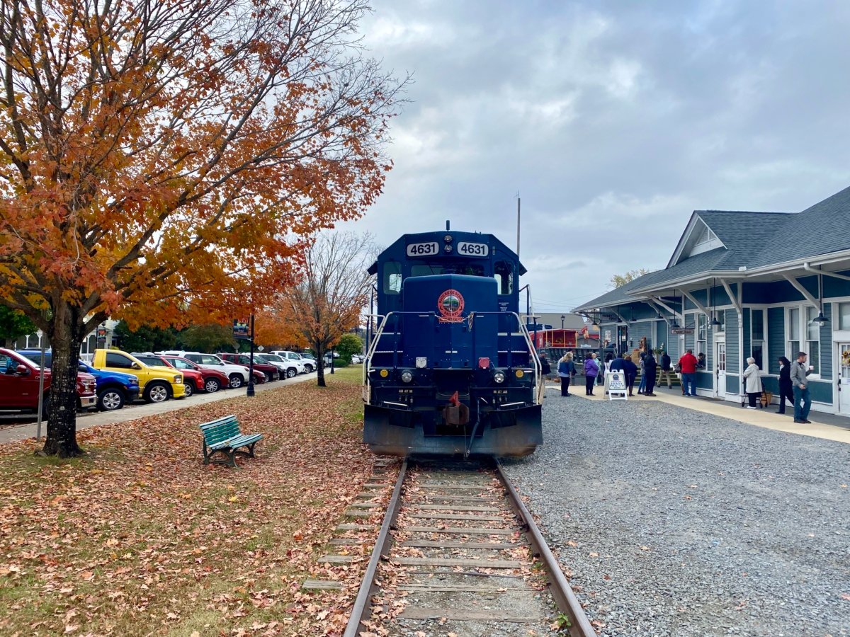 Hop a Scenic Mountain Train in Blue Ridge, Georgia 2