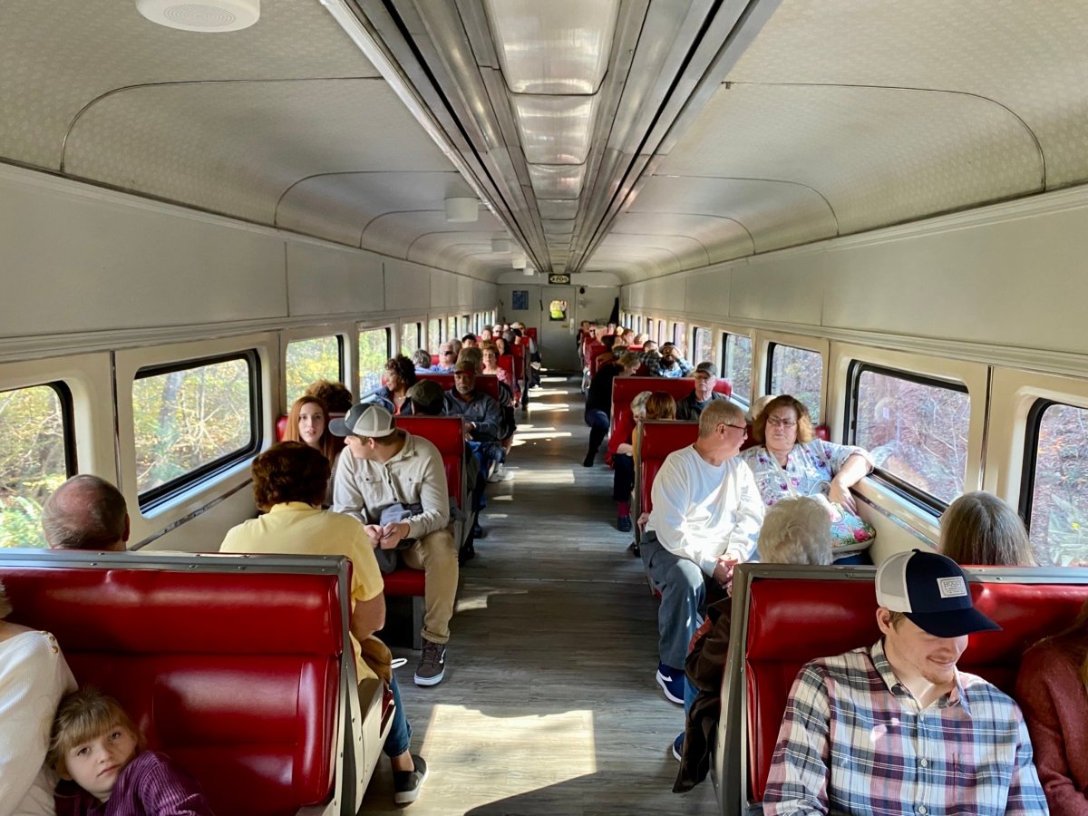 Hop a Scenic Mountain Train in Blue Ridge, Georgia 9