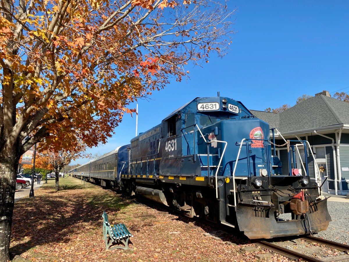 Hop a Scenic Mountain Train in Blue Ridge, Georgia 22