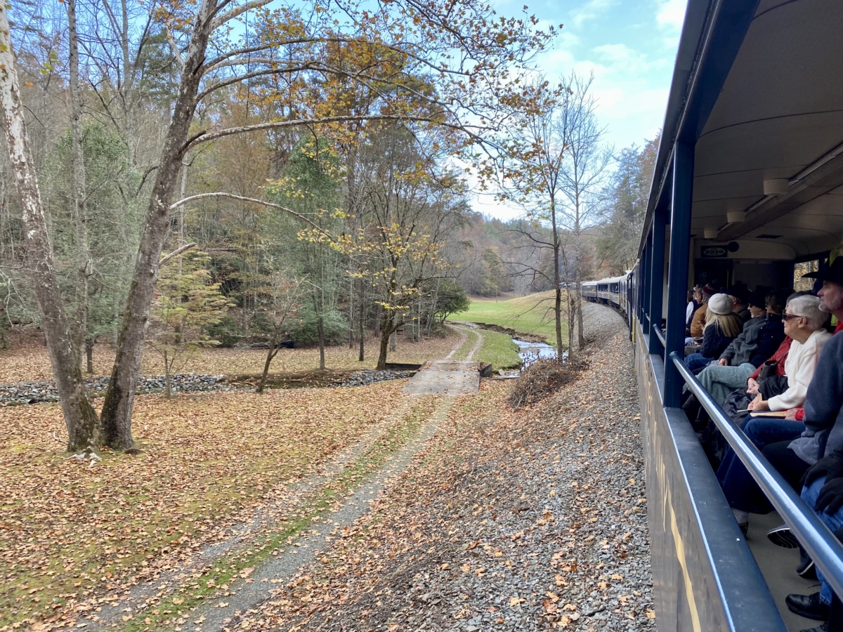 Hop a Scenic Mountain Train in Blue Ridge, Georgia 12