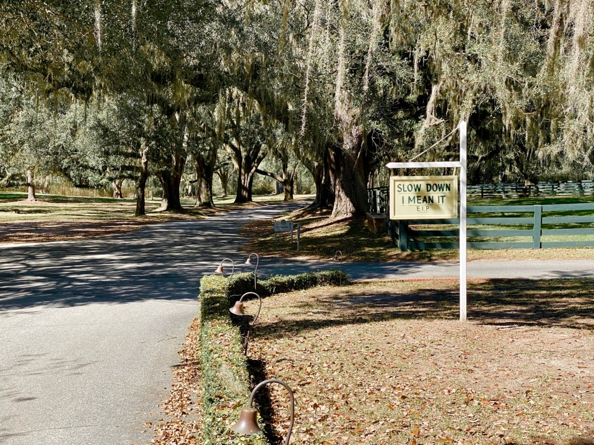 Encounter Historic Quail Hunt Plantations in Thomasville GA 5