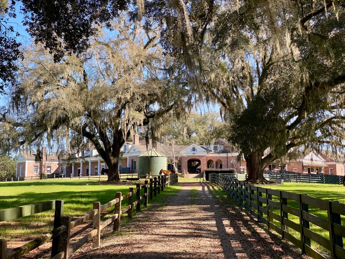 Encounter Historic Quail Hunt Plantations in Thomasville GA 17