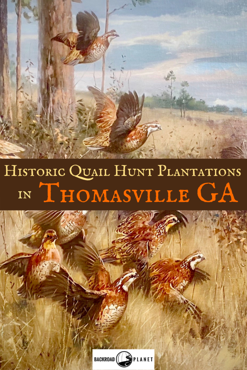 Encounter Historic Quail Hunt Plantations in Thomasville GA 28