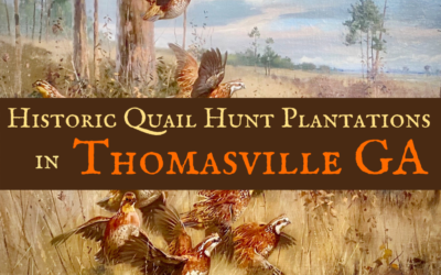 Encounter Historic Quail Hunt Plantations in Thomasville GA
