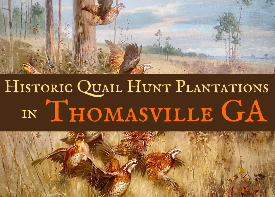 Encounter Historic Quail Hunt Plantations in Thomasville GA