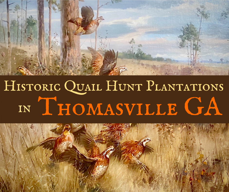 Encounter Historic Quail Hunt Plantations in Thomasville GA 1