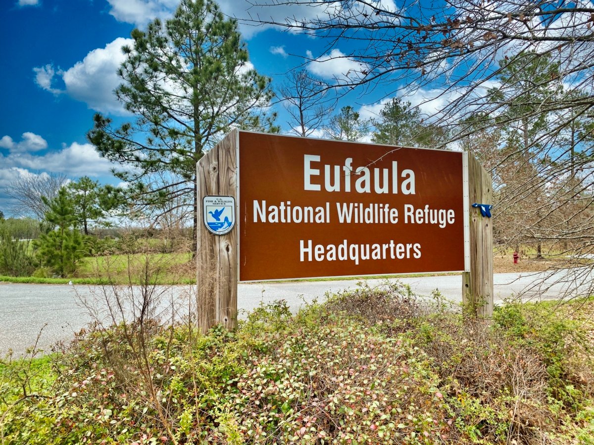 Outdoor & Historical Things to Do in Eufaula Alabama 22