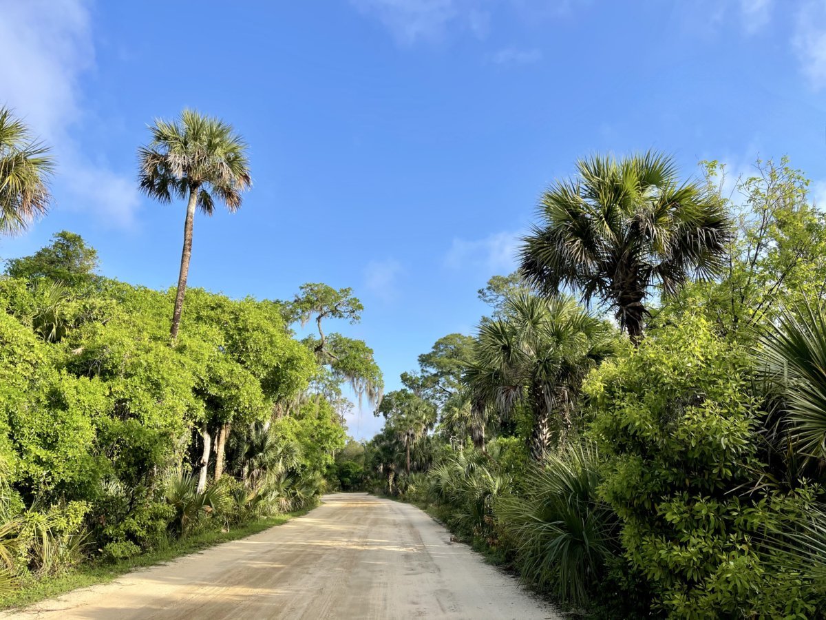 Florida's Tomoka State Park Camping, Recreation & History 6