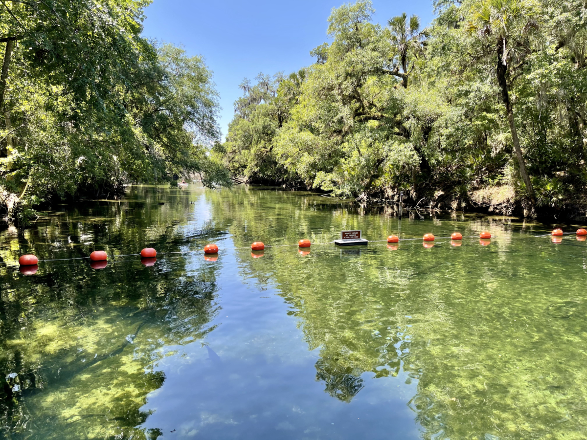 Discover Florida's Blue Spring State Park & Campground 6