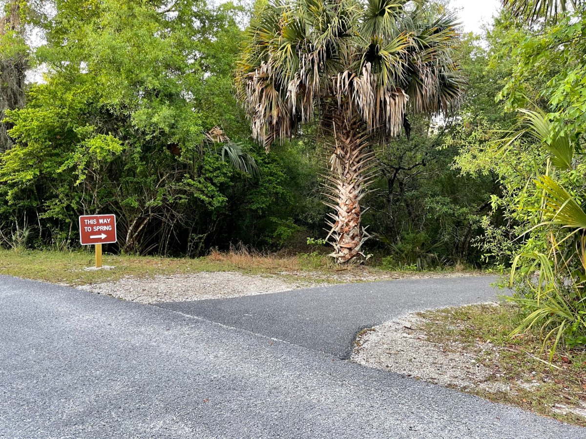 Discover Florida's Blue Spring State Park & Campground 16