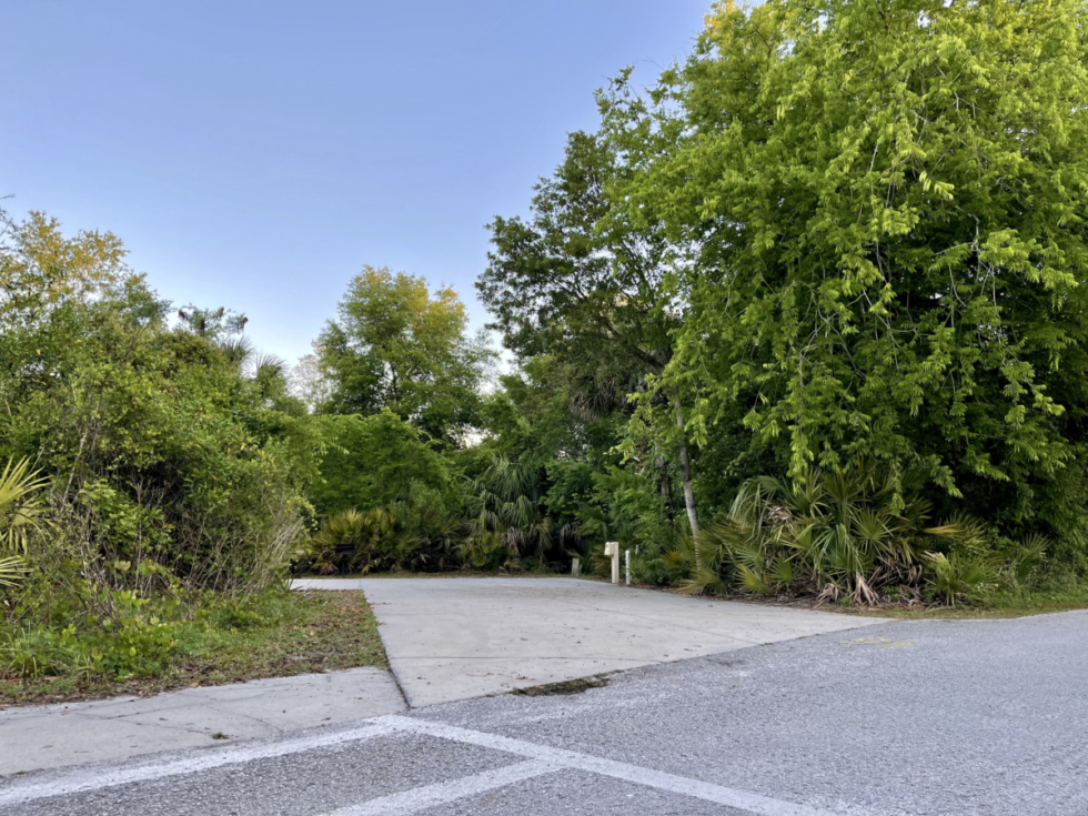Discover Florida's Blue Spring State Park & Campground