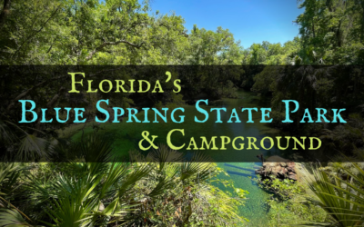 Discover Florida’s Blue Spring State Park & Campground