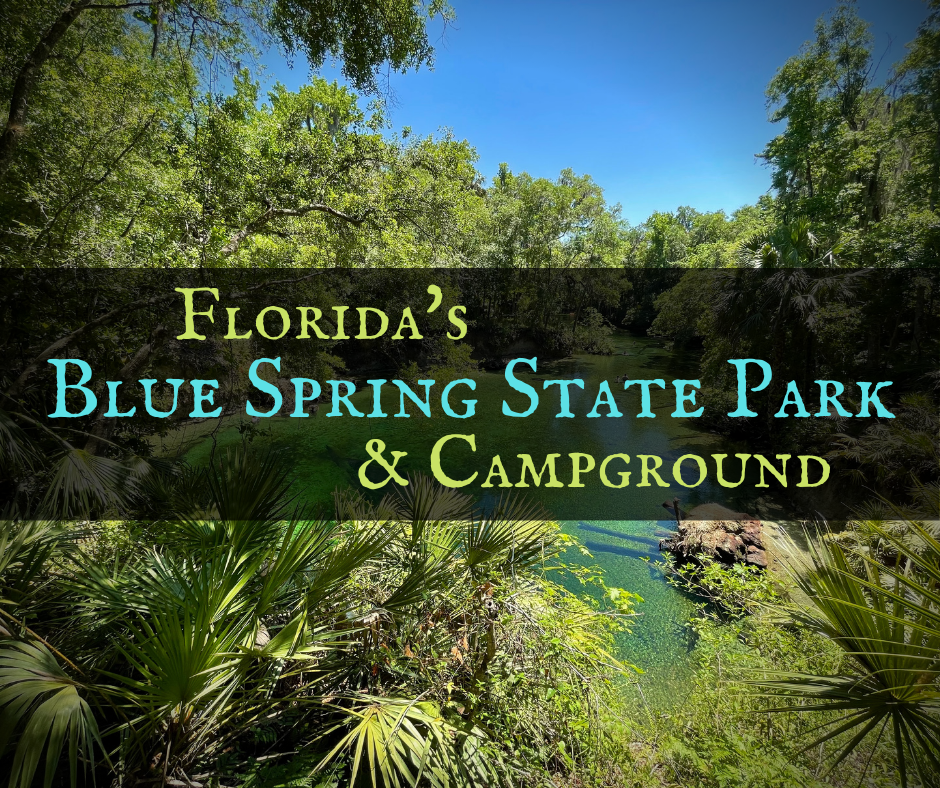 Discover Florida's Blue Spring State Park & Campground 1