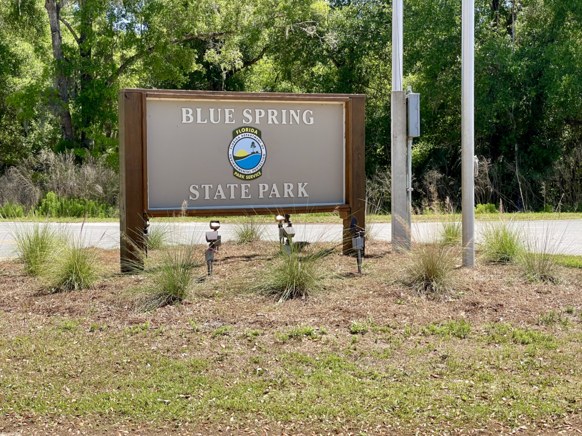 Discover Florida's Blue Spring State Park & Campground 2