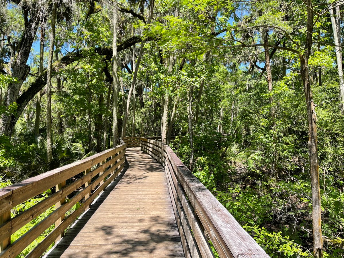 Discover Florida's Blue Spring State Park & Campground 4