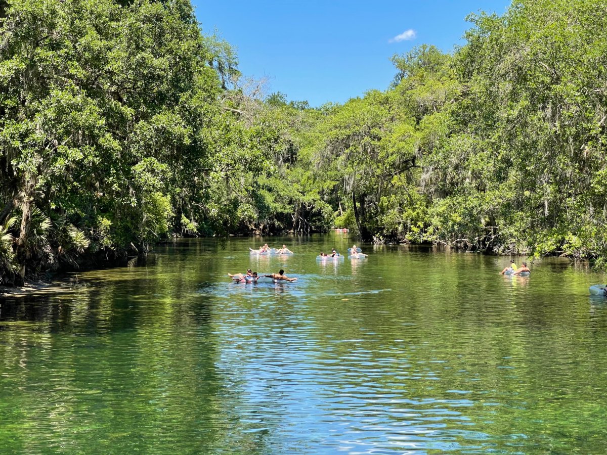 Discover Florida's Blue Spring State Park & Campground 5