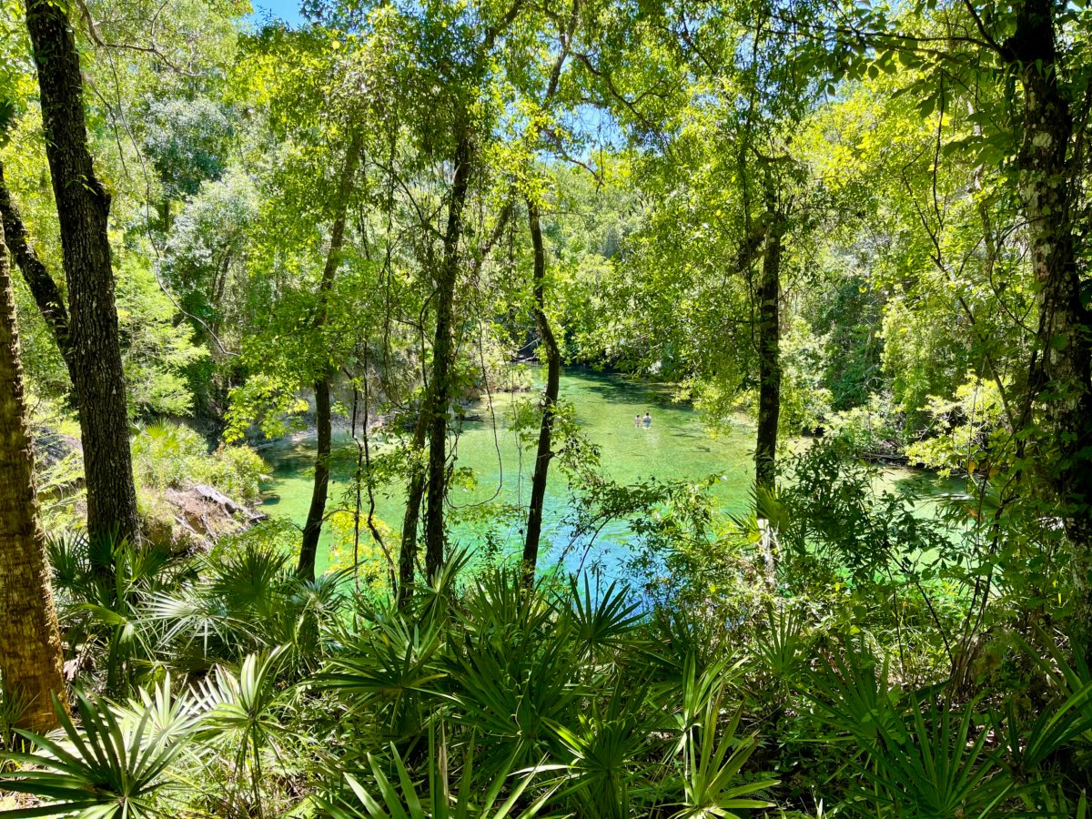 Discover Florida's Blue Spring State Park & Campground 3