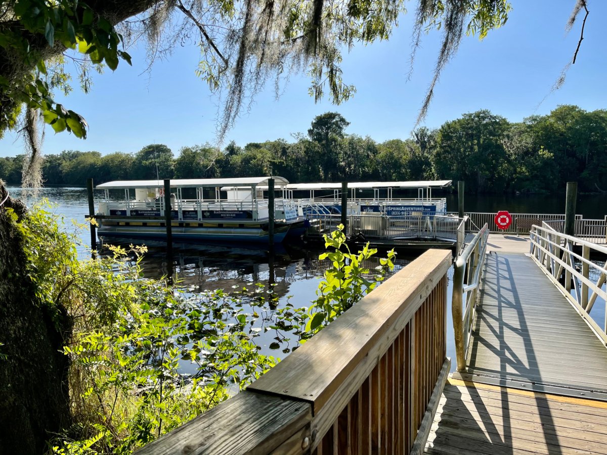 Discover Florida's Blue Spring State Park & Campground 22