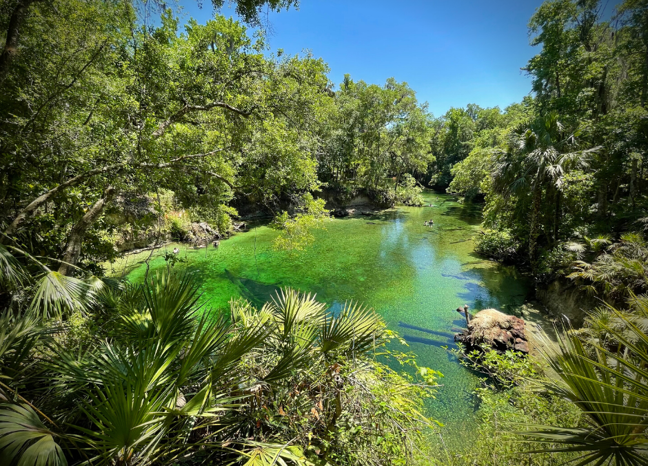 Discover Florida’s Blue Spring State Park & Campground