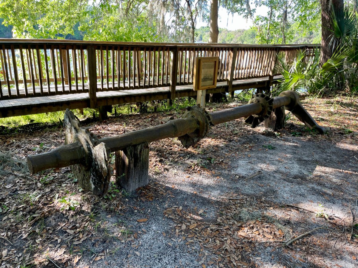 Discover Florida's Blue Spring State Park & Campground 13