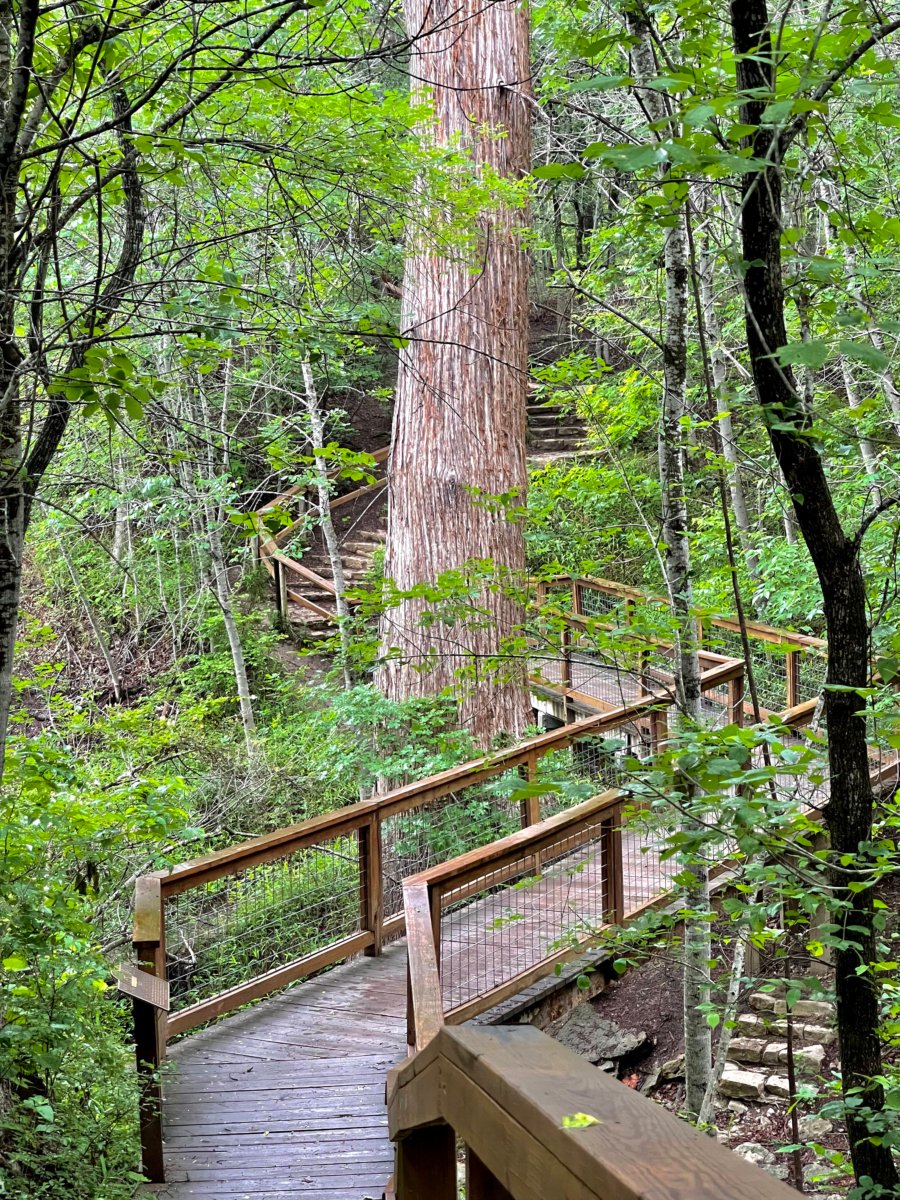 Plan an Unforgettable McKinney Falls State Park Camping Trip 7