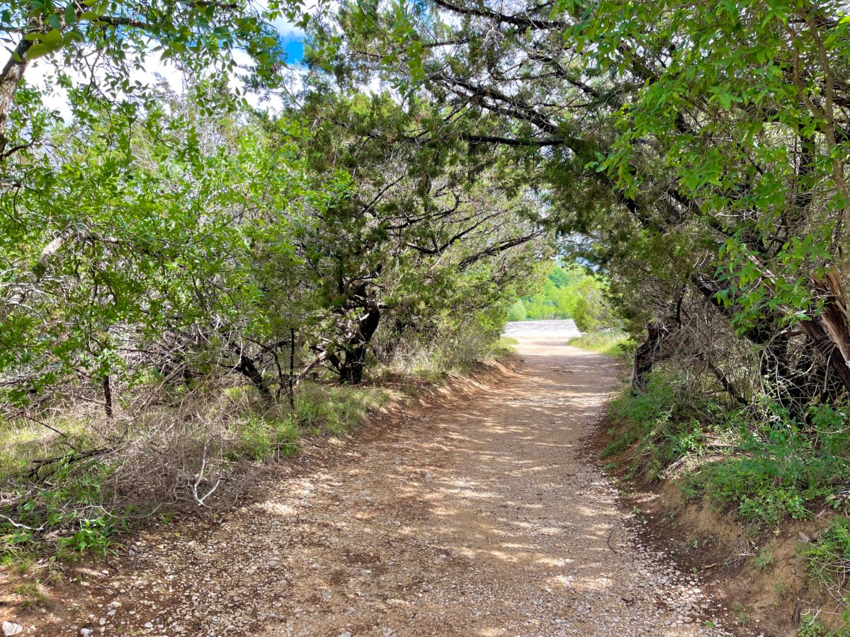 Plan an Unforgettable McKinney Falls State Park Camping Trip 15