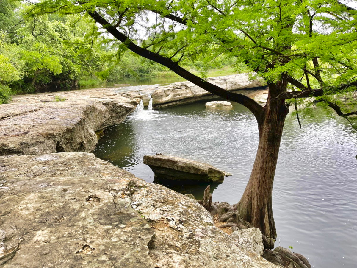 Plan an Unforgettable McKinney Falls State Park Camping Trip 10